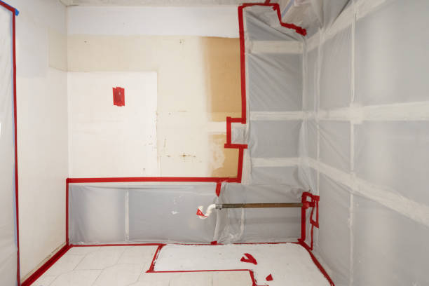 Mold Remediation